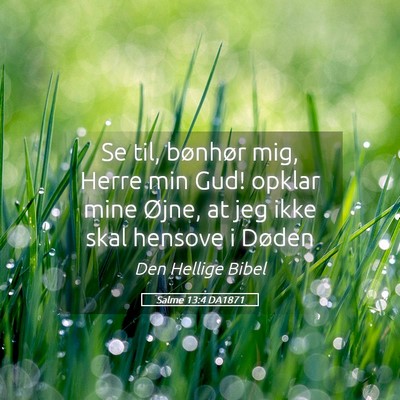 Picture 05 - Salme 13:4 DA1871 - Se til, bønhør mig, Herre min Gud! opklar mine - Bible Verse Picture