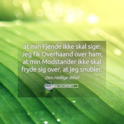Picture 05 - Salme 13:5 DA1871 - at min Fjende ikke skal sige: Jeg fik Overhaand - Bible Verse Picture