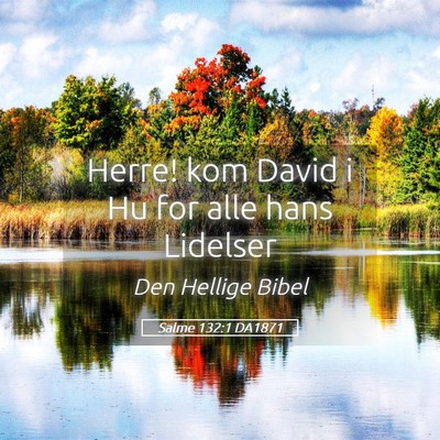 Picture 05 - Salme 132:1 DA1871 - Herre! kom David i Hu for alle hans - Bible Verse Picture