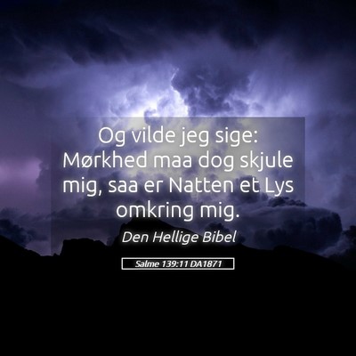 Picture 05 - Salme 139:11 DA1871 - Og vilde jeg sige: Mørkhed maa dog skjule mig, - Bible Verse Picture