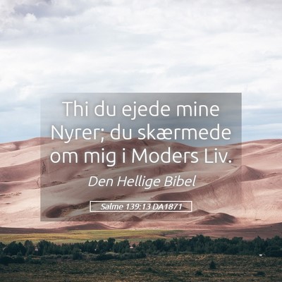 Picture 05 - Salme 139:13 DA1871 - Thi du ejede mine Nyrer; du skærmede om mig i - Bible Verse Picture
