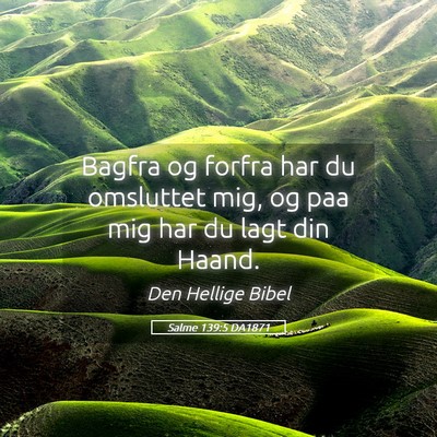Picture 05 - Salme 139:5 DA1871 - Bagfra og forfra har du omsluttet mig, og paa mig - Bible Verse Picture