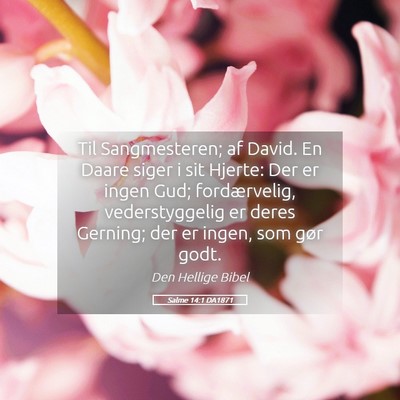 Picture 05 - Salme 14:1 DA1871 - Til Sangmesteren; af David. En Daare siger i sit - Bible Verse Picture
