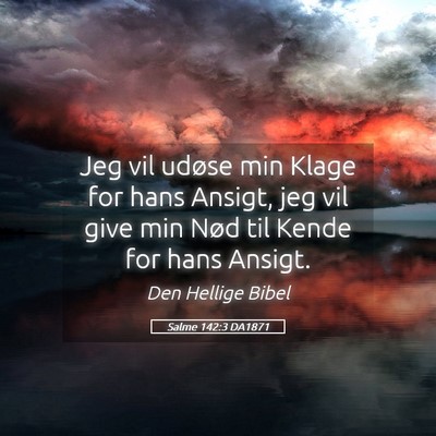 Picture 05 - Salme 142:3 DA1871 - Jeg vil udøse min Klage for hans Ansigt, jeg vil - Bible Verse Picture