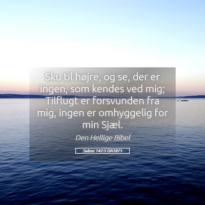 Picture 05 - Salme 142:5 DA1871 - Sku til højre, og se, der er ingen, som kendes - Bible Verse Picture