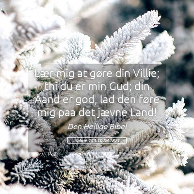 Picture 05 - Salme 143:10 DA1871 - Lær mig at gøre din Villie; thi du er min Gud; - Bible Verse Picture