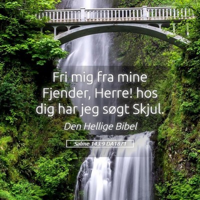 Picture 05 - Salme 143:9 DA1871 - Fri mig fra mine Fjender, Herre! hos dig har jeg - Bible Verse Picture