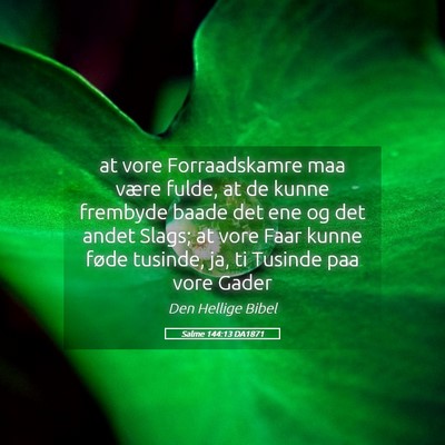 Picture 05 - Salme 144:13 DA1871 - at vore Forraadskamre maa være fulde, at de - Bible Verse Picture