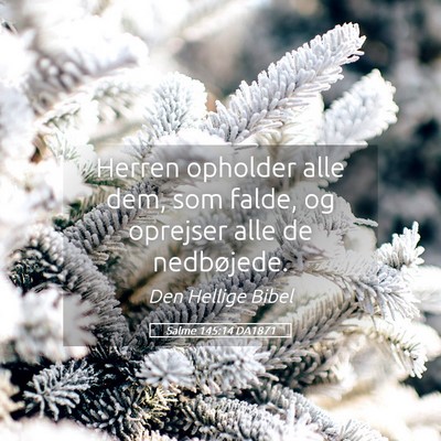 Picture 05 - Salme 145:14 DA1871 - Herren opholder alle dem, som falde, og oprejser - Bible Verse Picture
