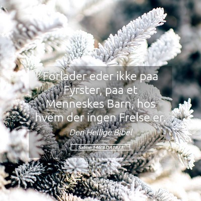 Picture 05 - Salme 146:3 DA1871 - Forlader eder ikke paa Fyrster, paa et Menneskes - Bible Verse Picture
