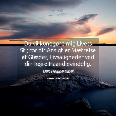Picture 05 - Salme 16:11 DA1871 - Du vil kundgøre mig Livets Sti; for dit Ansigt - Bible Verse Picture
