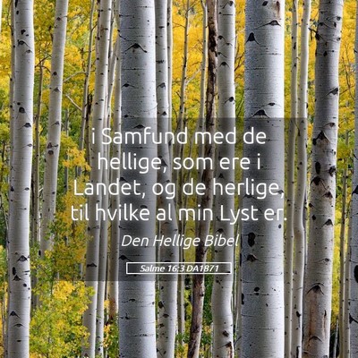 Picture 05 - Salme 16:3 DA1871 - i Samfund med de hellige, som ere i Landet, og de - Bible Verse Picture