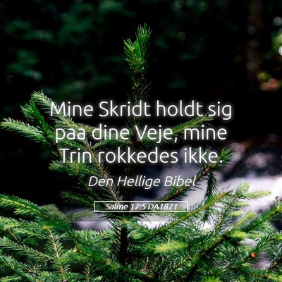 Picture 05 - Salme 17:5 DA1871 - Mine Skridt holdt sig paa dine Veje, mine Trin - Bible Verse Picture