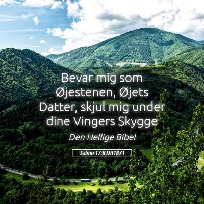 Picture 05 - Salme 17:8 DA1871 - Bevar mig som Øjestenen, Øjets Datter, skjul - Bible Verse Picture