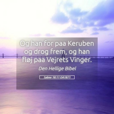 Picture 05 - Salme 18:11 DA1871 - Og han for paa Keruben og drog frem, og han fløj - Bible Verse Picture