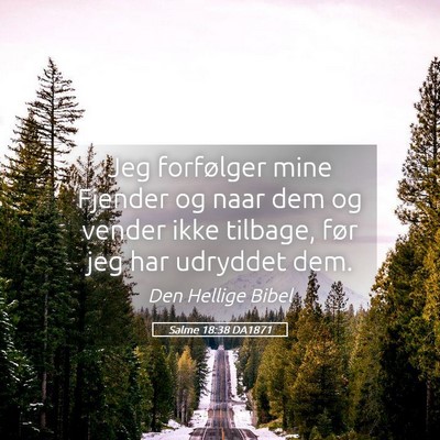 Picture 05 - Salme 18:38 DA1871 - Jeg forfølger mine Fjender og naar dem og vender - Bible Verse Picture