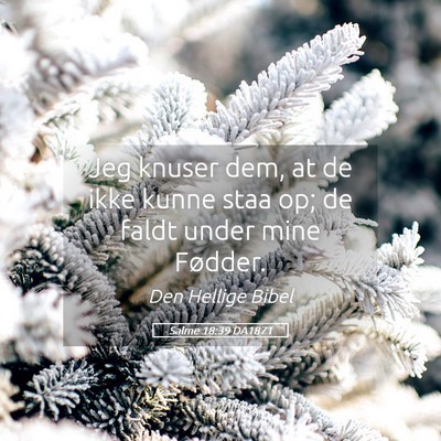 Picture 05 - Salme 18:39 DA1871 - Jeg knuser dem, at de ikke kunne staa op; de - Bible Verse Picture