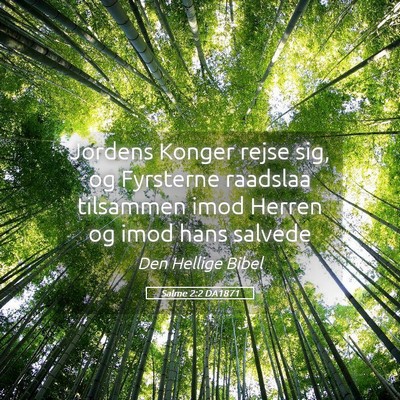 Picture 05 - Salme 2:2 DA1871 - Jordens Konger rejse sig, og Fyrsterne raadslaa - Bible Verse Picture