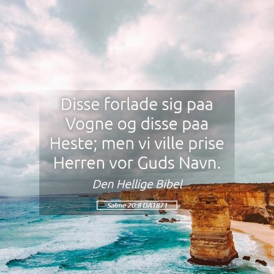Picture 05 - Salme 20:8 DA1871 - Disse forlade sig paa Vogne og disse paa Heste; - Bible Verse Picture