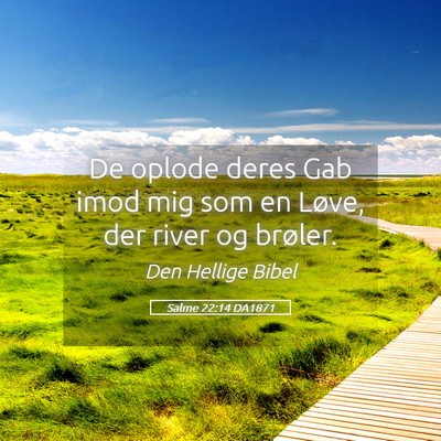 Picture 05 - Salme 22:14 DA1871 - De oplode deres Gab imod mig som en Løve, der - Bible Verse Picture