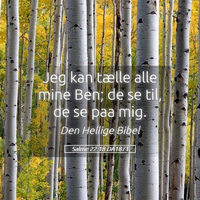 Picture 05 - Salme 22:18 DA1871 - Jeg kan tælle alle mine Ben; de se til, de se - Bible Verse Picture