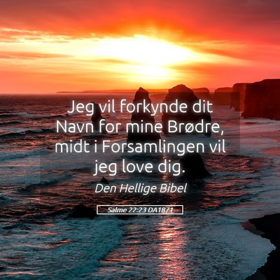 Picture 05 - Salme 22:23 DA1871 - Jeg vil forkynde dit Navn for mine Brødre, midt - Bible Verse Picture