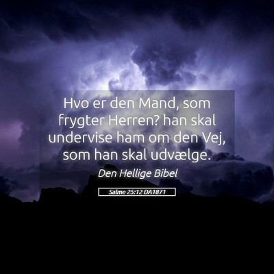 Picture 05 - Salme 25:12 DA1871 - Hvo er den Mand, som frygter Herren? han skal - Bible Verse Picture