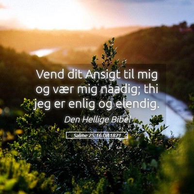 Picture 05 - Salme 25:16 DA1871 - Vend dit Ansigt til mig og vær mig naadig; thi - Bible Verse Picture