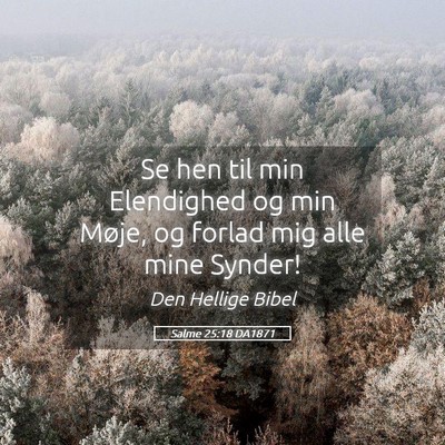 Picture 05 - Salme 25:18 DA1871 - Se hen til min Elendighed og min Møje, og forlad - Bible Verse Picture
