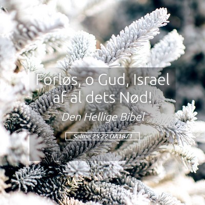 Picture 05 - Salme 25:22 DA1871 - Forløs, o Gud, Israel af al dets - Bible Verse Picture
