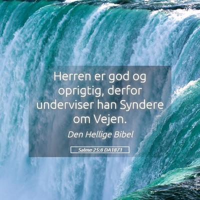 Picture 05 - Salme 25:8 DA1871 - Herren er god og oprigtig, derfor underviser han - Bible Verse Picture