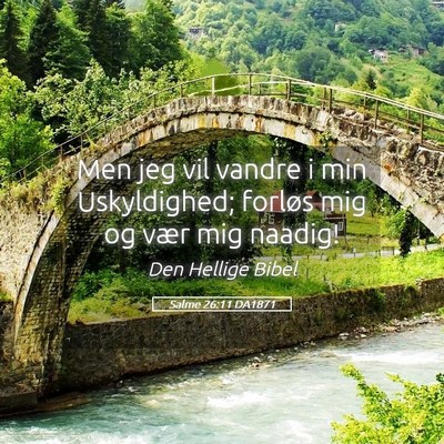 Picture 05 - Salme 26:11 DA1871 - Men jeg vil vandre i min Uskyldighed; forløs mig - Bible Verse Picture