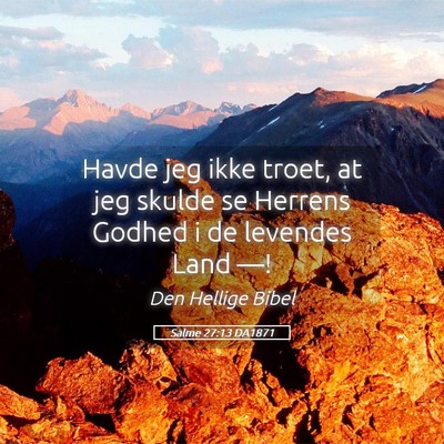 Picture 05 - Salme 27:13 DA1871 - Havde jeg ikke troet, at jeg skulde se Herrens - Bible Verse Picture