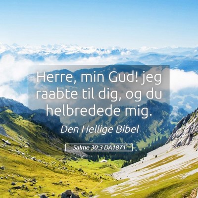 Picture 05 - Salme 30:3 DA1871 - Herre, min Gud! jeg raabte til dig, og du - Bible Verse Picture