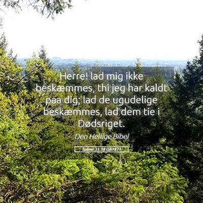 Picture 05 - Salme 31:18 DA1871 - Herre! lad mig ikke beskæmmes, thi jeg har kaldt - Bible Verse Picture