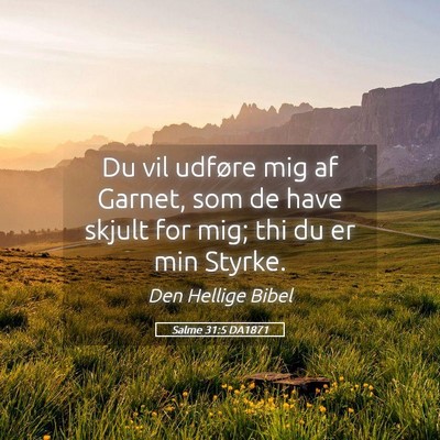 Picture 05 - Salme 31:5 DA1871 - Du vil udføre mig af Garnet, som de have skjult - Bible Verse Picture