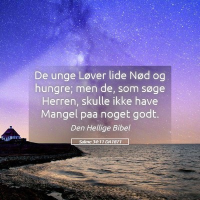 Picture 05 - Salme 34:11 DA1871 - De unge Løver lide Nød og hungre; men de, som - Bible Verse Picture