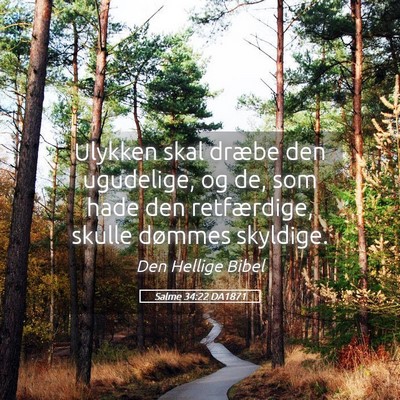 Picture 05 - Salme 34:22 DA1871 - Ulykken skal dræbe den ugudelige, og de, som - Bible Verse Picture
