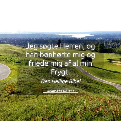 Picture 05 - Salme 34:5 DA1871 - Jeg søgte Herren, og han bønhørte mig og - Bible Verse Picture
