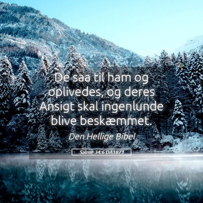 Picture 05 - Salme 34:6 DA1871 - De saa til ham og oplivedes, og deres Ansigt skal - Bible Verse Picture