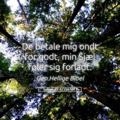 Picture 05 - Salme 35:12 DA1871 - De betale mig ondt for godt, min Sjæl føler sig - Bible Verse Picture