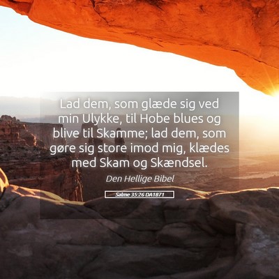 Picture 05 - Salme 35:26 DA1871 - Lad dem, som glæde sig ved min Ulykke, til Hobe - Bible Verse Picture