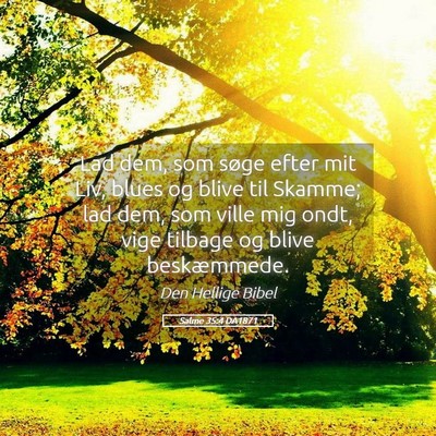 Picture 05 - Salme 35:4 DA1871 - Lad dem, som søge efter mit Liv, blues og blive - Bible Verse Picture
