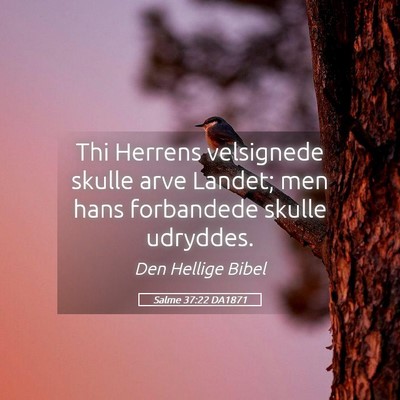 Picture 05 - Salme 37:22 DA1871 - Thi Herrens velsignede skulle arve Landet; men - Bible Verse Picture