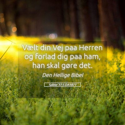 Picture 05 - Salme 37:5 DA1871 - Vælt din Vej paa Herren og forlad dig paa ham, - Bible Verse Picture
