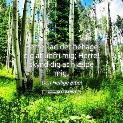 Picture 05 - Salme 40:14 DA1871 - Herre! lad det behage dig at udfri mig; Herre! - Bible Verse Picture