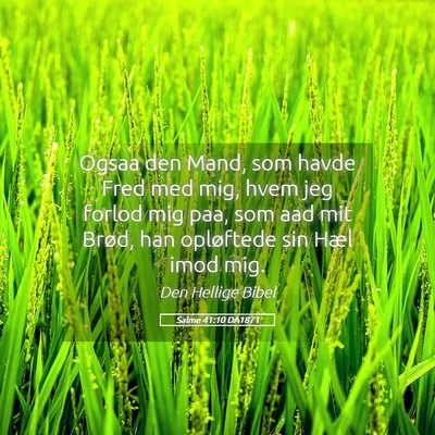 Picture 05 - Salme 41:10 DA1871 - Ogsaa den Mand, som havde Fred med mig, hvem jeg - Bible Verse Picture