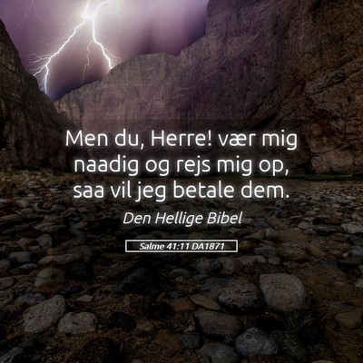 Picture 05 - Salme 41:11 DA1871 - Men du, Herre! vær mig naadig og rejs mig op, - Bible Verse Picture