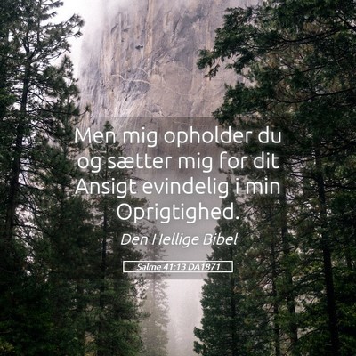 Picture 05 - Salme 41:13 DA1871 - Men mig opholder du og sætter mig for dit Ansigt - Bible Verse Picture