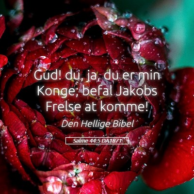 Picture 05 - Salme 44:5 DA1871 - Gud! du, ja, du er min Konge; befal Jakobs Frelse - Bible Verse Picture